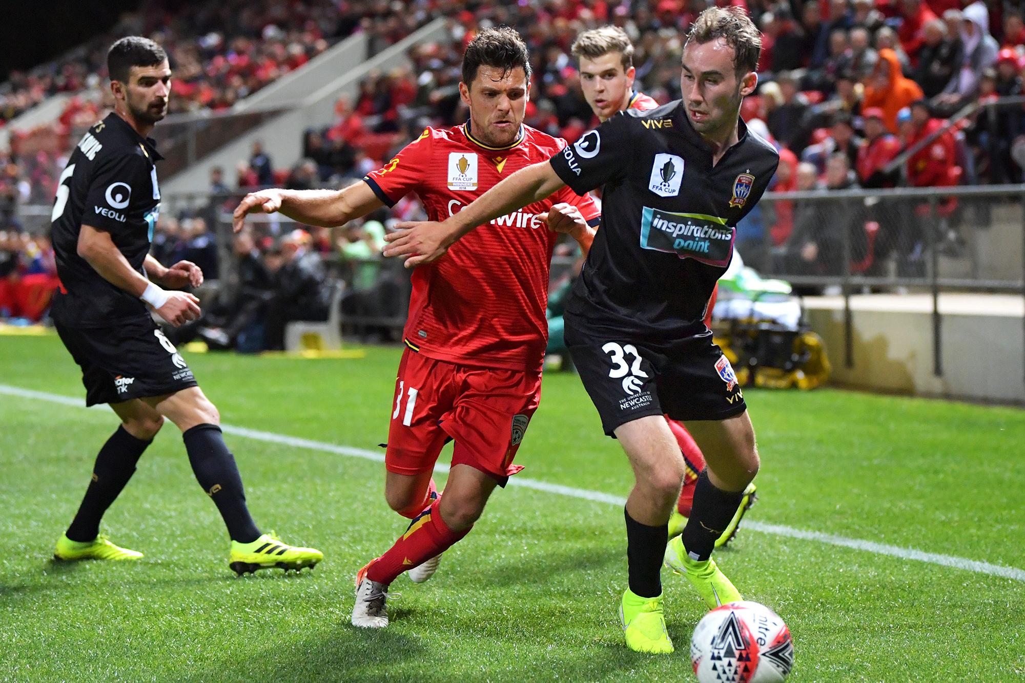 Angus Thurgate Adelaide United